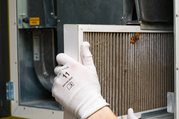 Best Ductwork Cleaning Services  in Jackson, LA