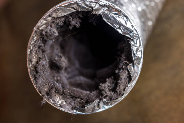 Best Air Vent Cleaning Services  in Jackson, LA