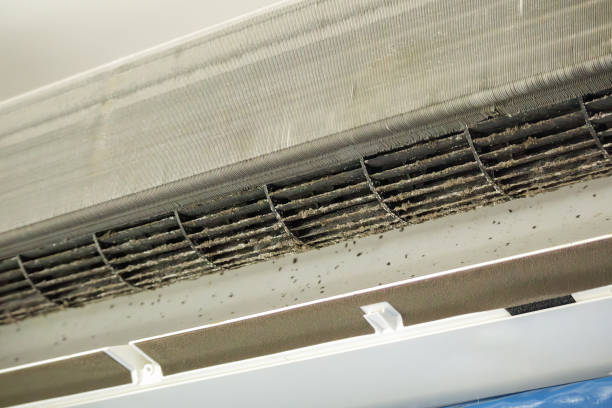Best Air Vent Cleaning Services  in Jackson, LA