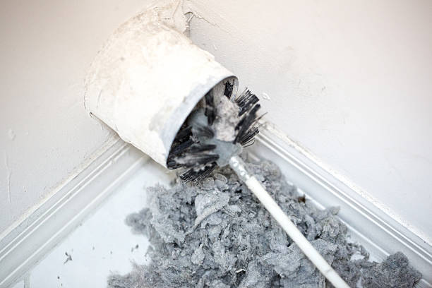 Affordable HVAC Duct Cleaning in LA