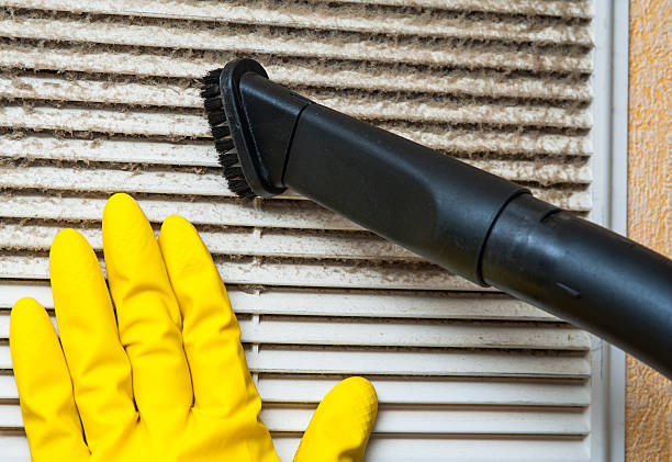 Best Dryer Vent Cleaning Services  in Jackson, LA